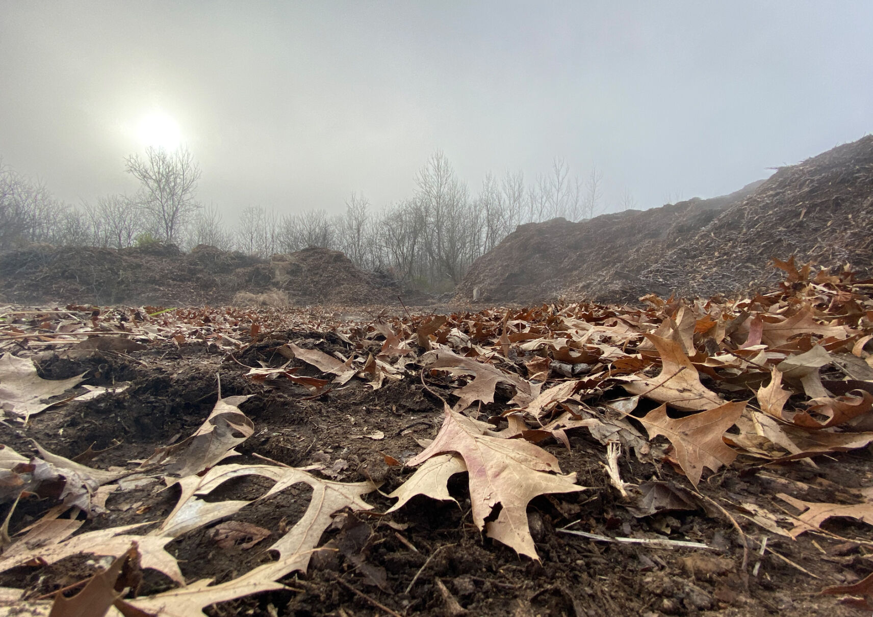 Compost-Blox3.jpg
